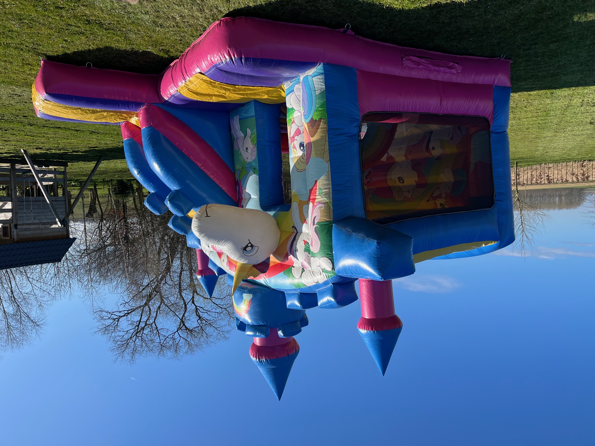 Licorne Rose 4